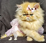 thepersiancats
