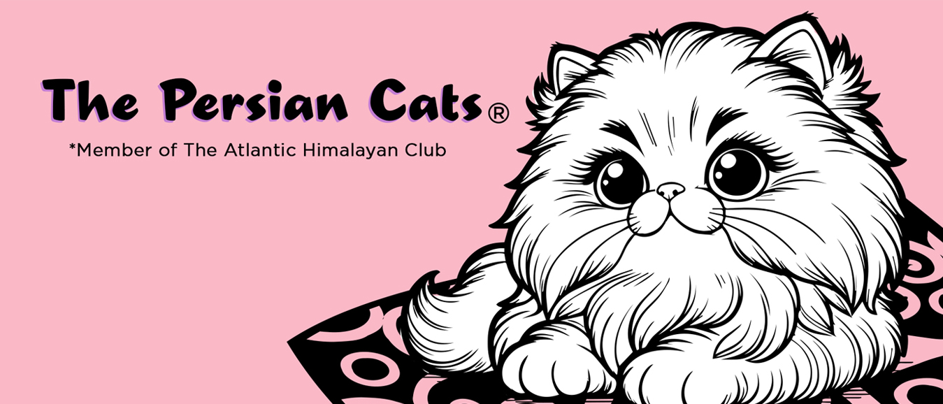 thepersiancats
