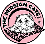 thepersiancats