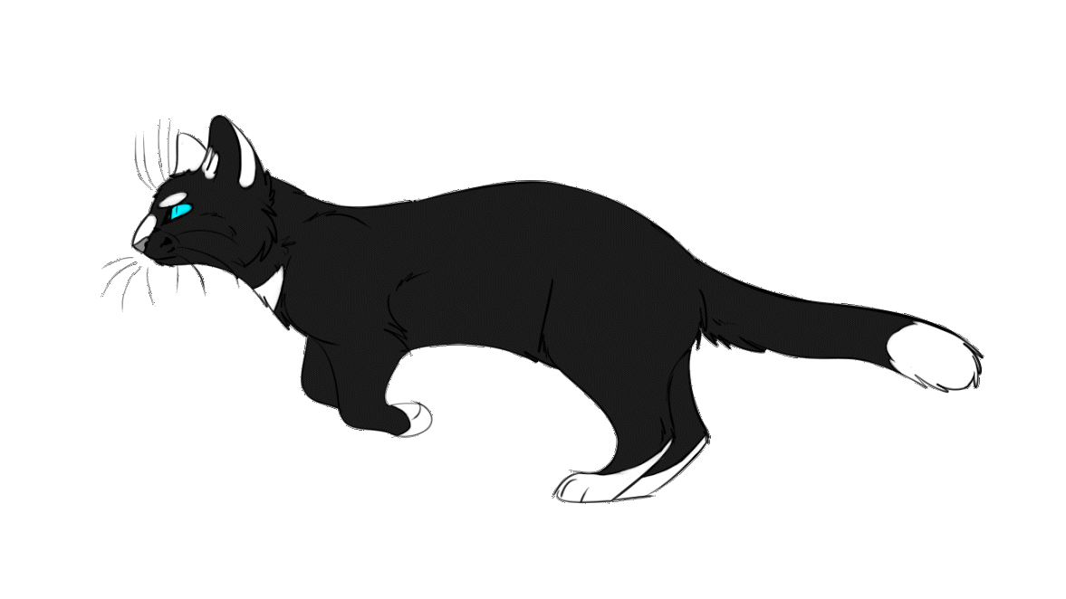 Running Cat